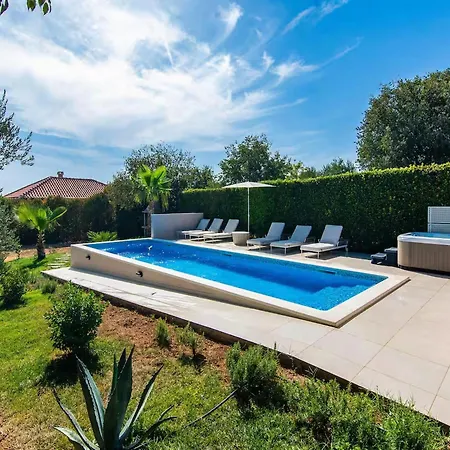 Luxury Dalmatian With Pool Donji Zemunik
