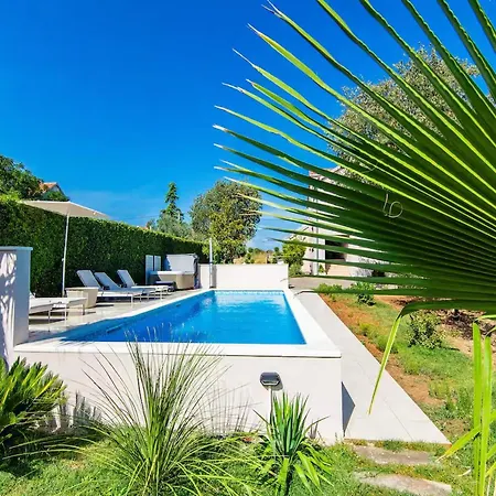 Luxury Dalmatian With Pool