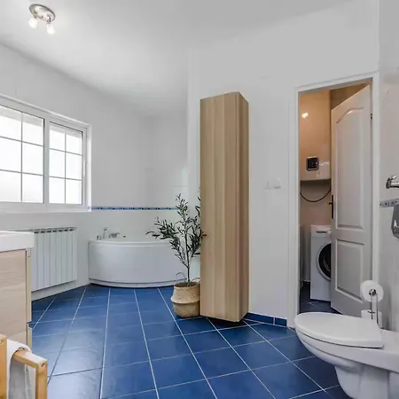 Luxury Dalmatian With Pool 別荘